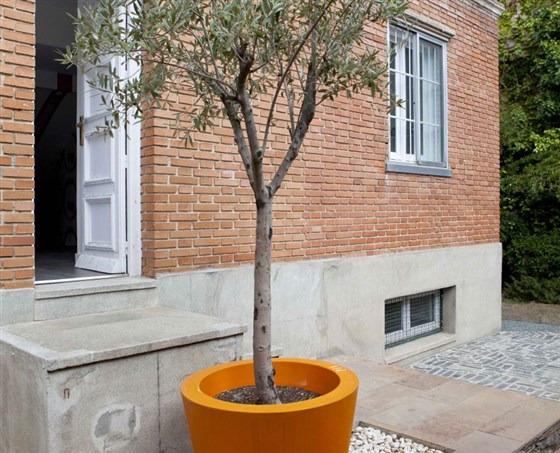 Externo