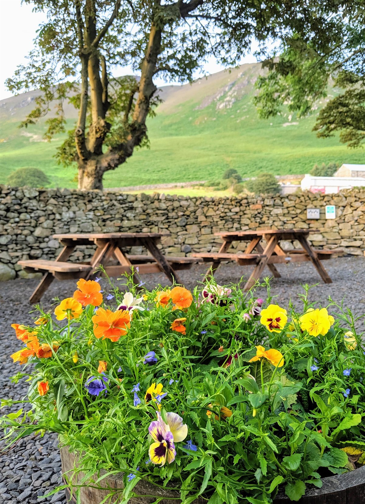 The mountain view from the courtyard