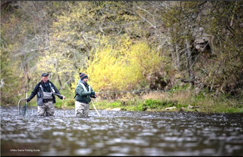 Fishpal FishPal - buy fishing permits for salmon, trout and grayling