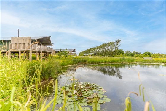 Bridholme Glamping Lodges, Nottinghamshire 