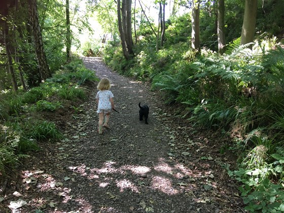 Notre module familial accepte les chiens !