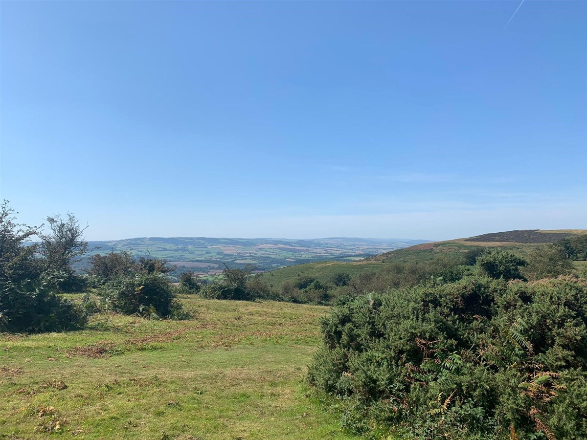 Triscombe Stone, un itinéraire cyclable et pédestre populaire sur les collines Quantock