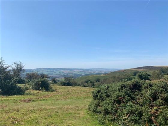 Triscombe Stone, un itinéraire cyclable et pédestre populaire sur les collines Quantock