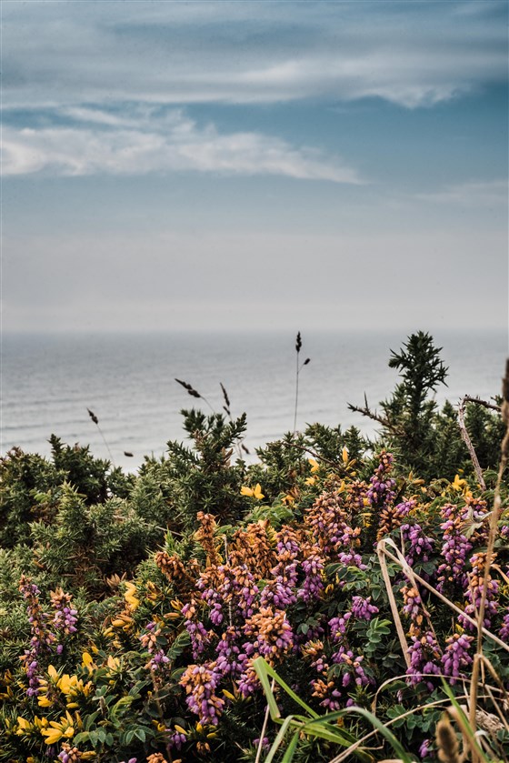 Watergate Bay - a perfect place to visit all year round