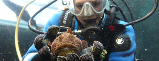 Macduff Marine Aquarium
