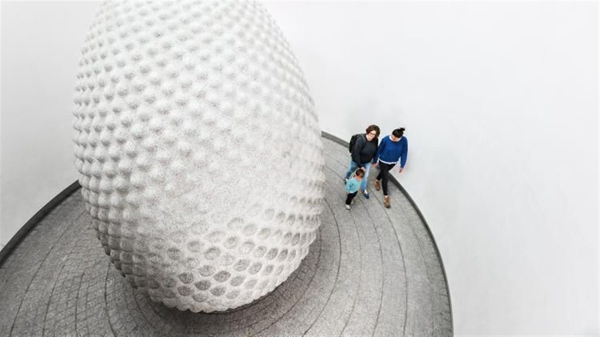 The Eden Project