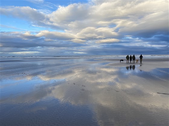 Budle Bay, Budle Hall