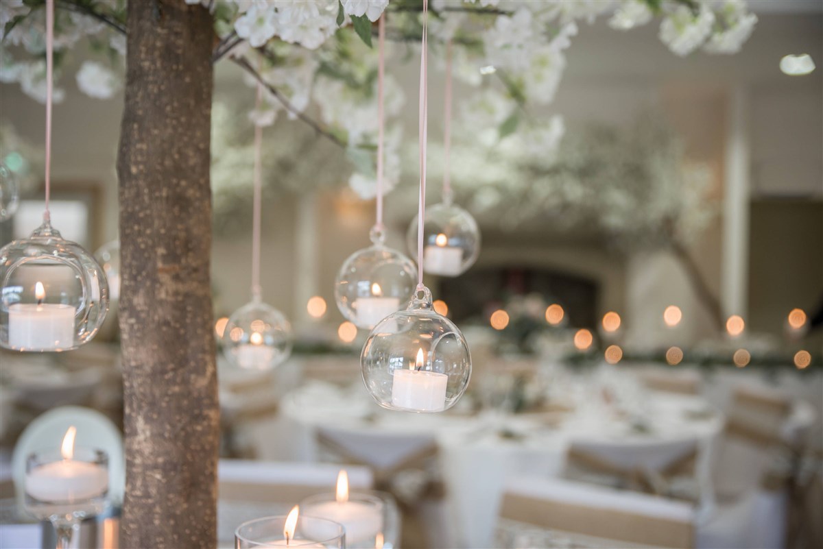 Cavendish Pavilion: Jenny Maden Photgraphy