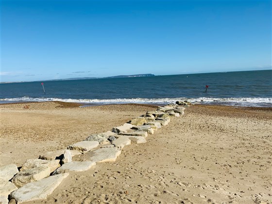 View in front of salty seagull