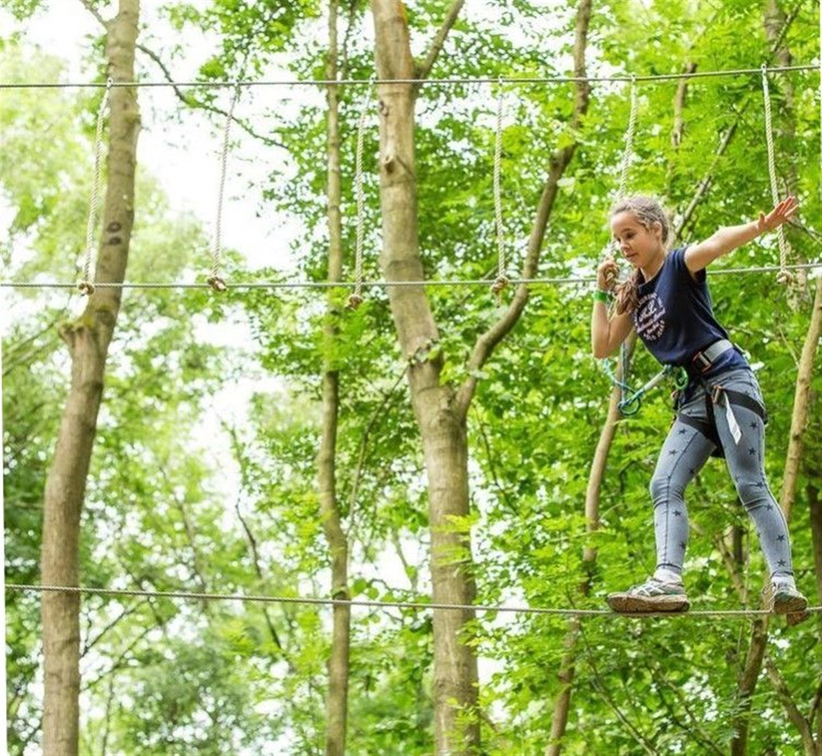 Go Ape