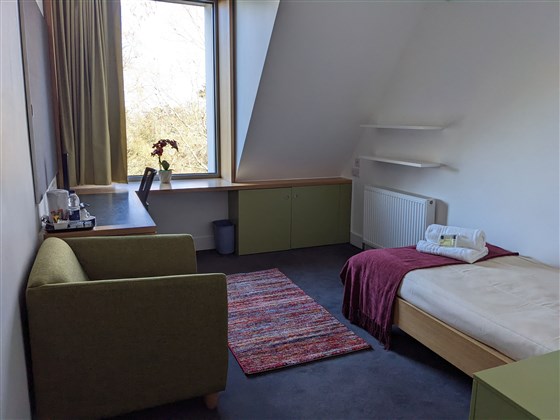 Ash Court camera singola con bagno interno