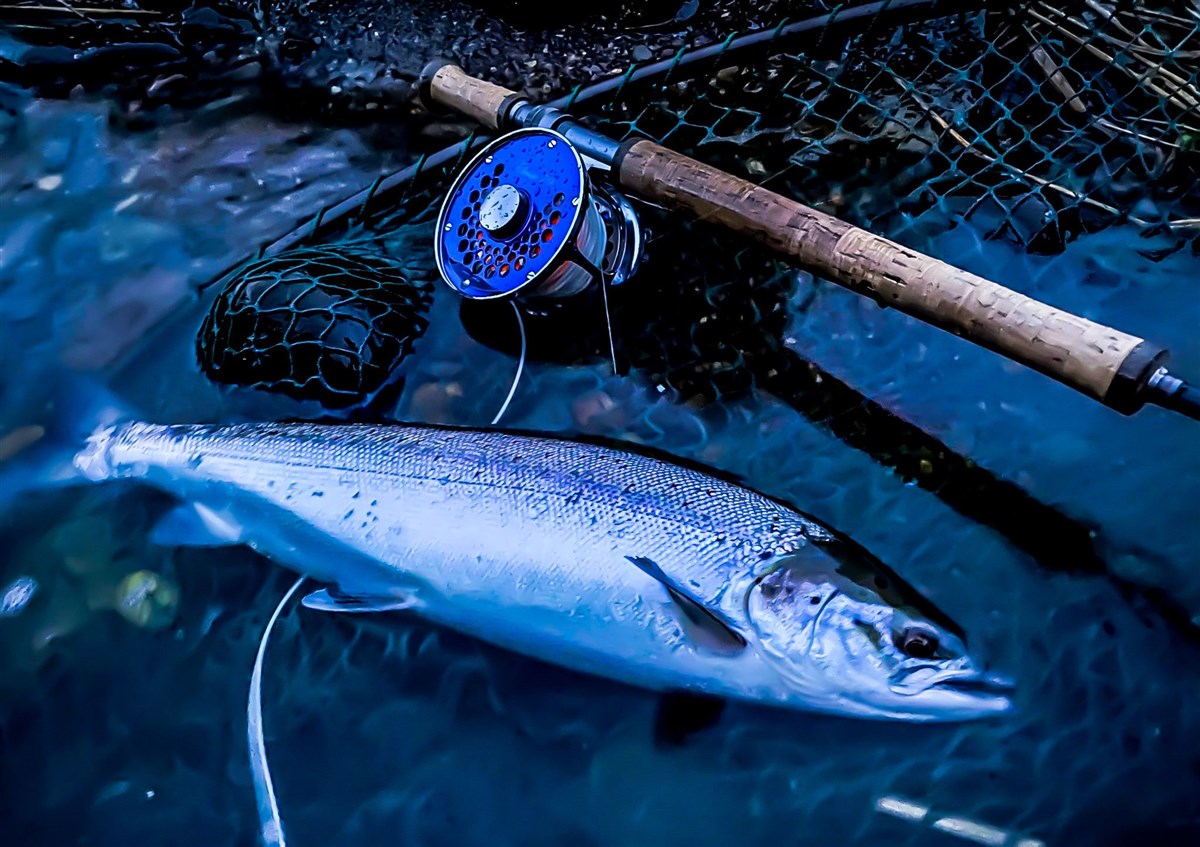 Ugie Sea Trout