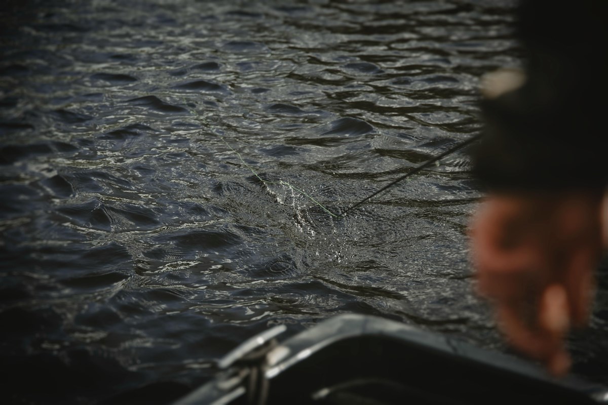 Watershed Fly Fishing