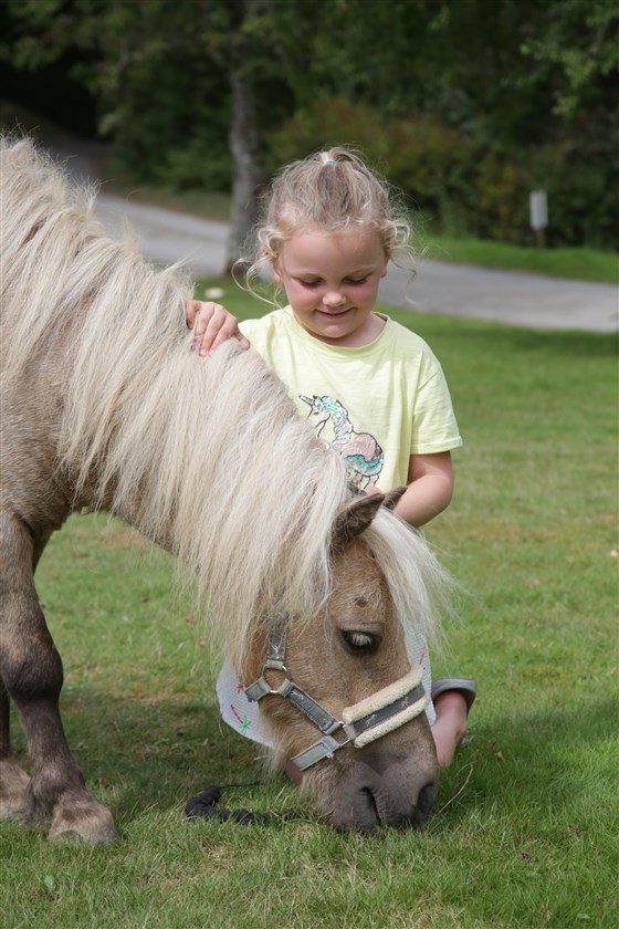 Equitation sur place
