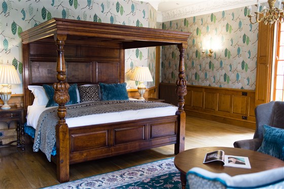 Hornbeam, Plush Junior Suite