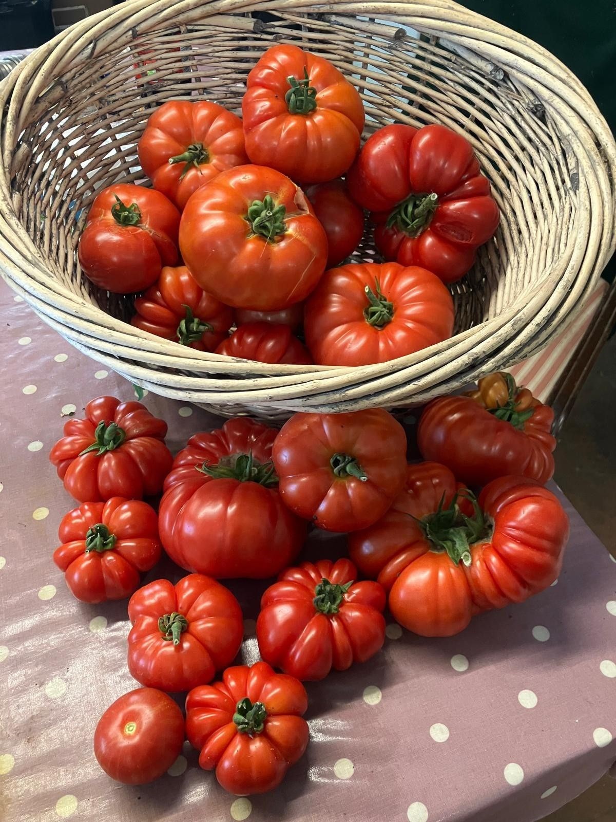 Organic produce available at Clovelly Court Gardens