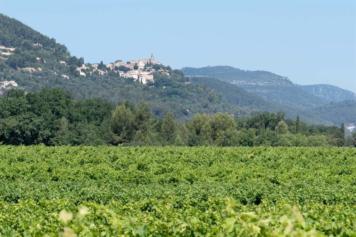 Vue sur Solliès-Ville