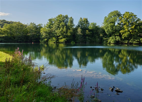 Tinhay Lake