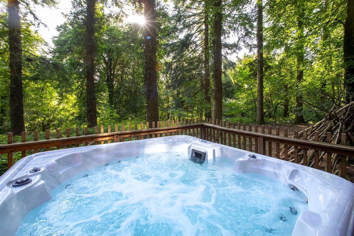 Treehouse Breaks at Forest Holidays, Forest of Dean