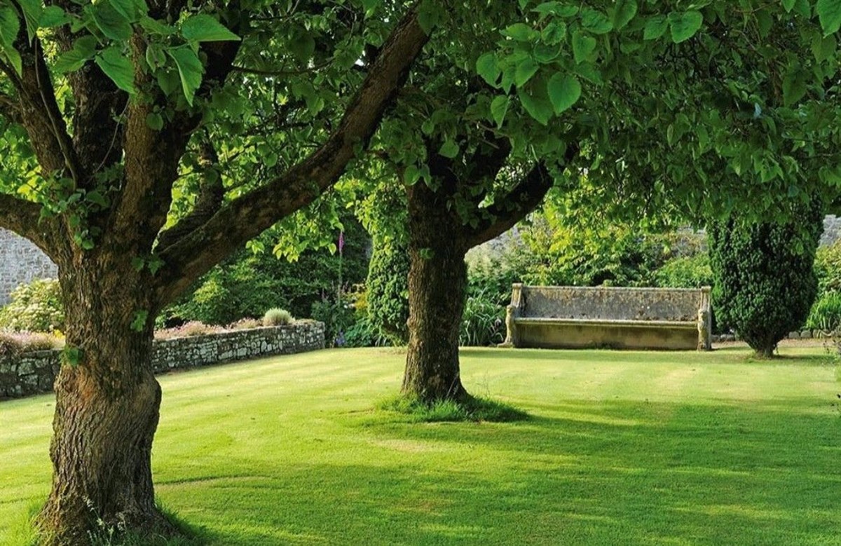A place to ponder, Clovelly Court Gardens