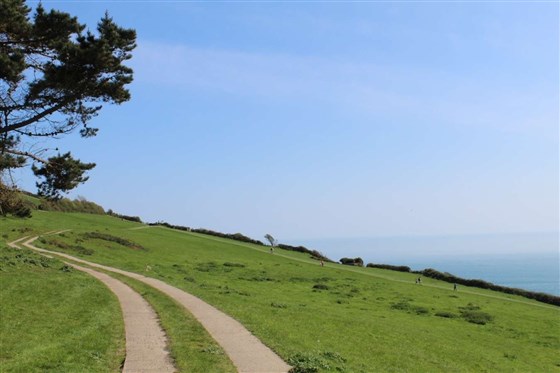 Field by Great Seaside