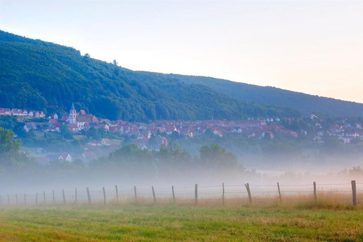 Vue depuis Jardin