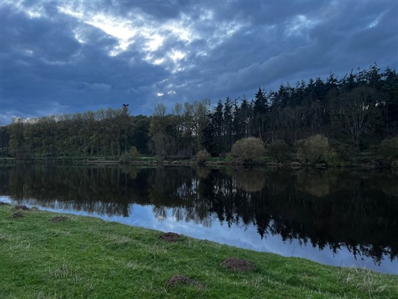 Yardford Fisheries