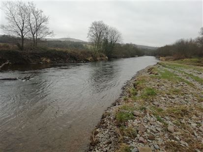 Fishpal FishPal - buy fishing permits for salmon, trout and grayling