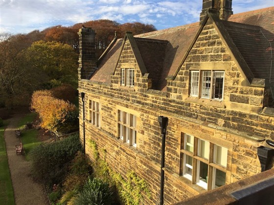 Autumnal scene