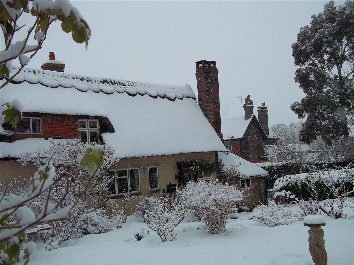 Winter at Thatched Cottage