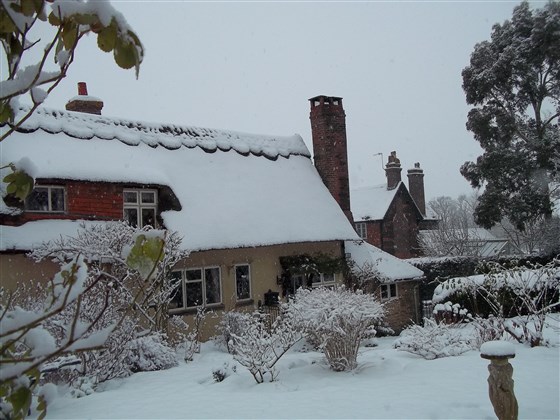 Winter at Thatched Cottage