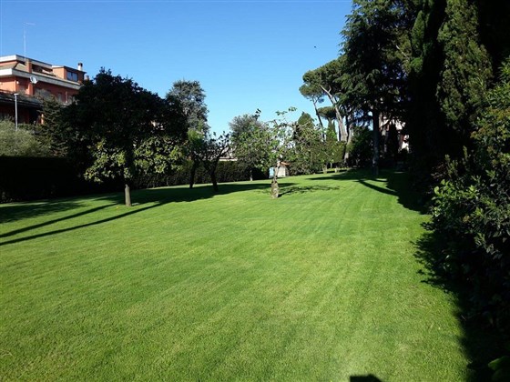 Parco