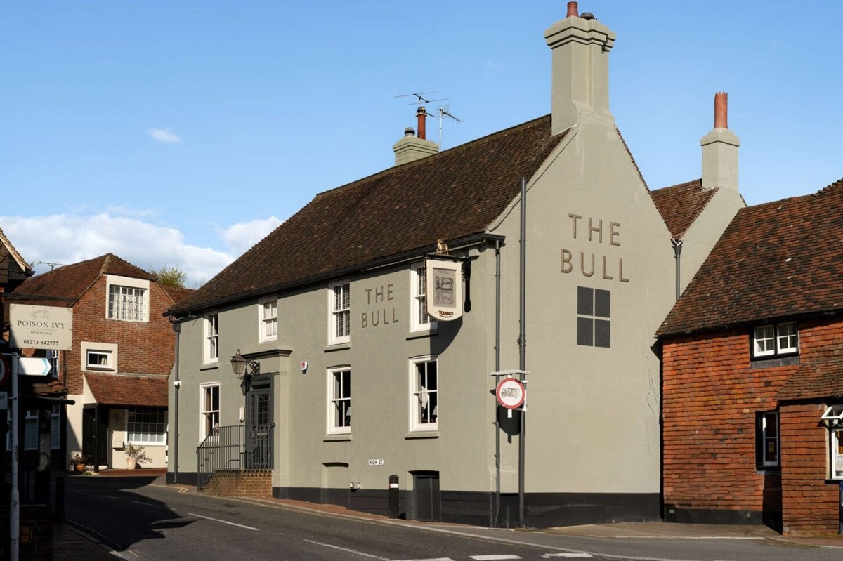 The Bull