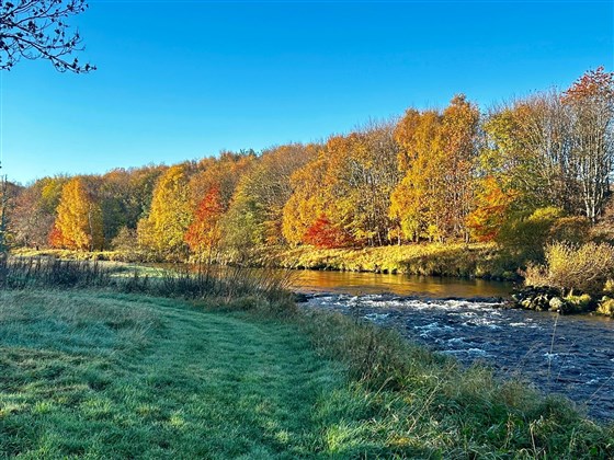 River Deveron Avochie