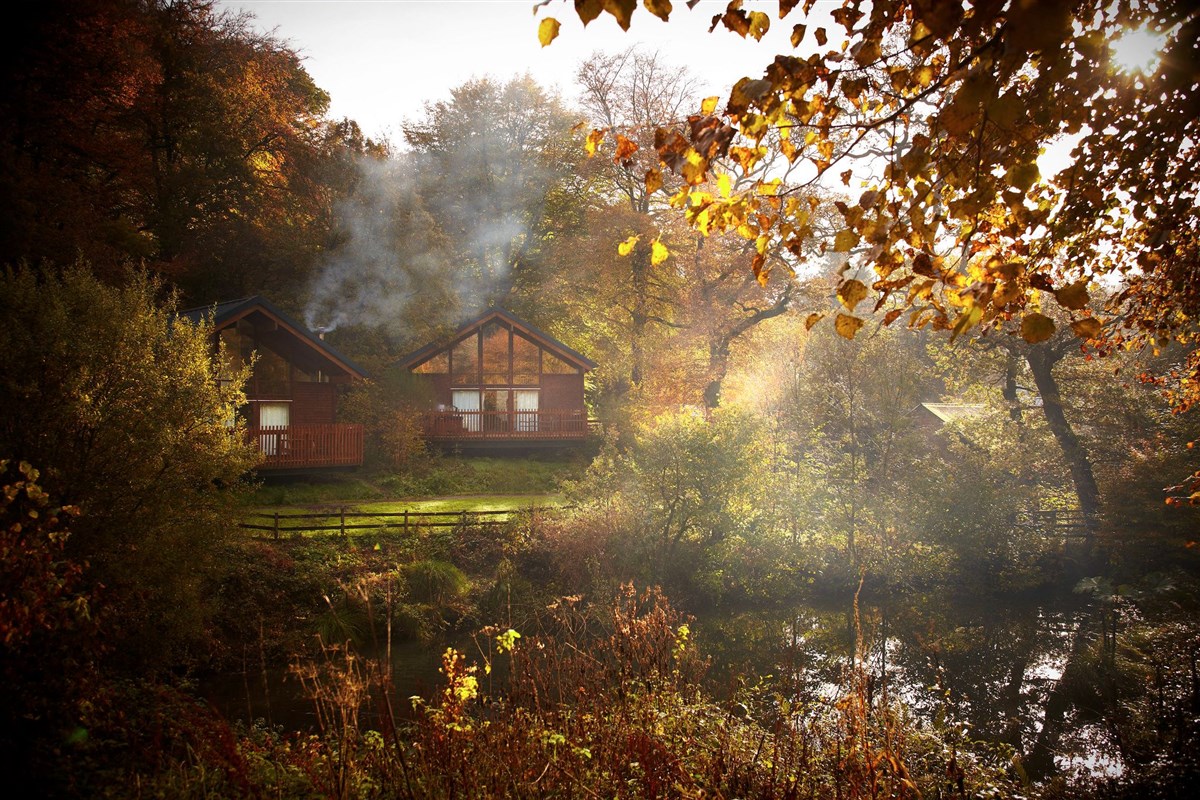 Forest Holidays, Deerpark, Cornwall