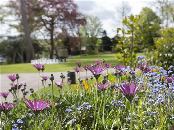Gardens