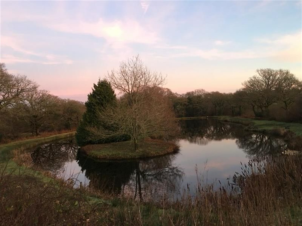 Lake in the Evening