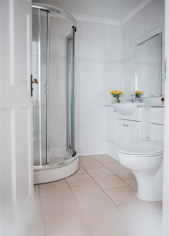 The second bathroom with walk in shower