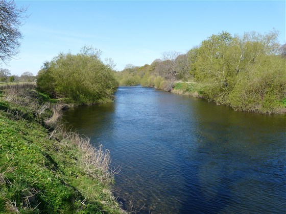 Monteviot Beat