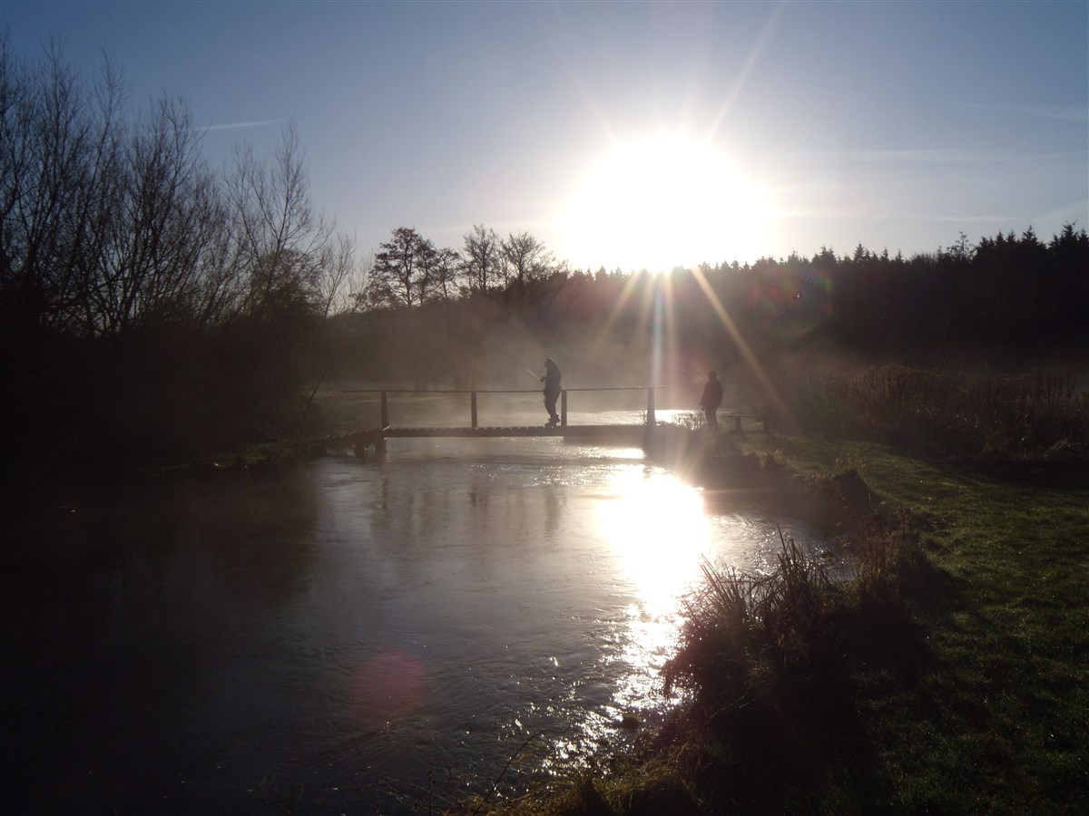 Winter scene