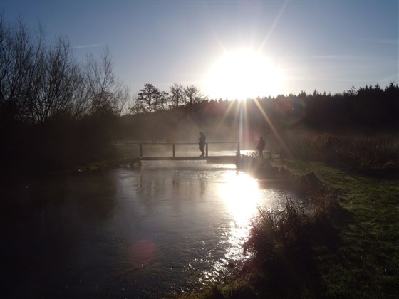 Winter scene