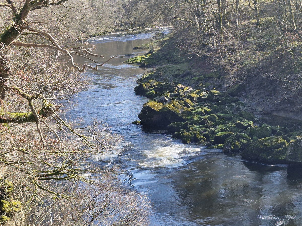 Border Esk