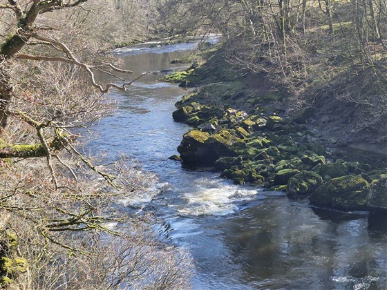 Border Esk