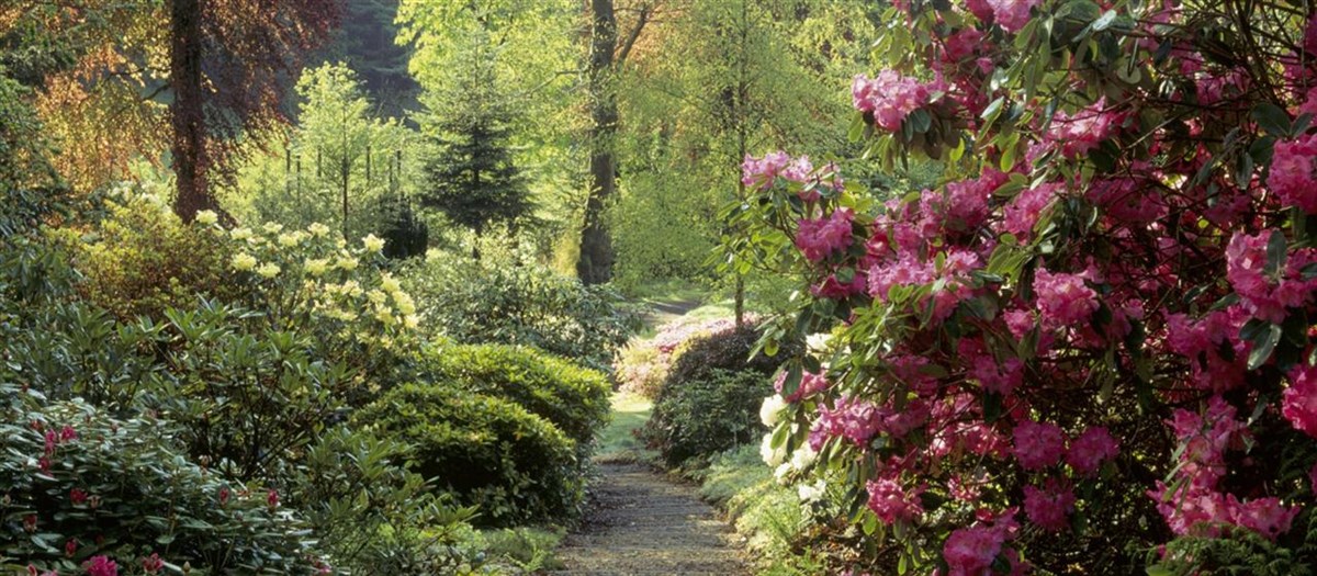 Colby Woodland Garden Estate