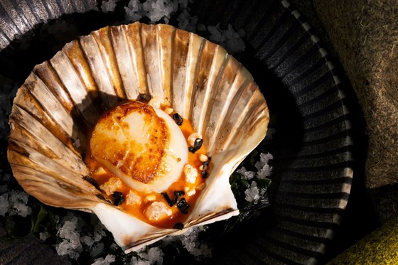 Scallop