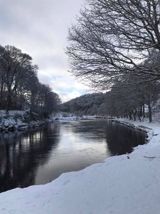Edradynate in the snow