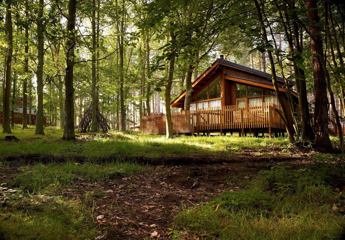Forest Holidays, Sherwood Forest, Nottinghamshire
