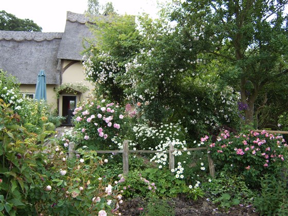 Cottage Garden