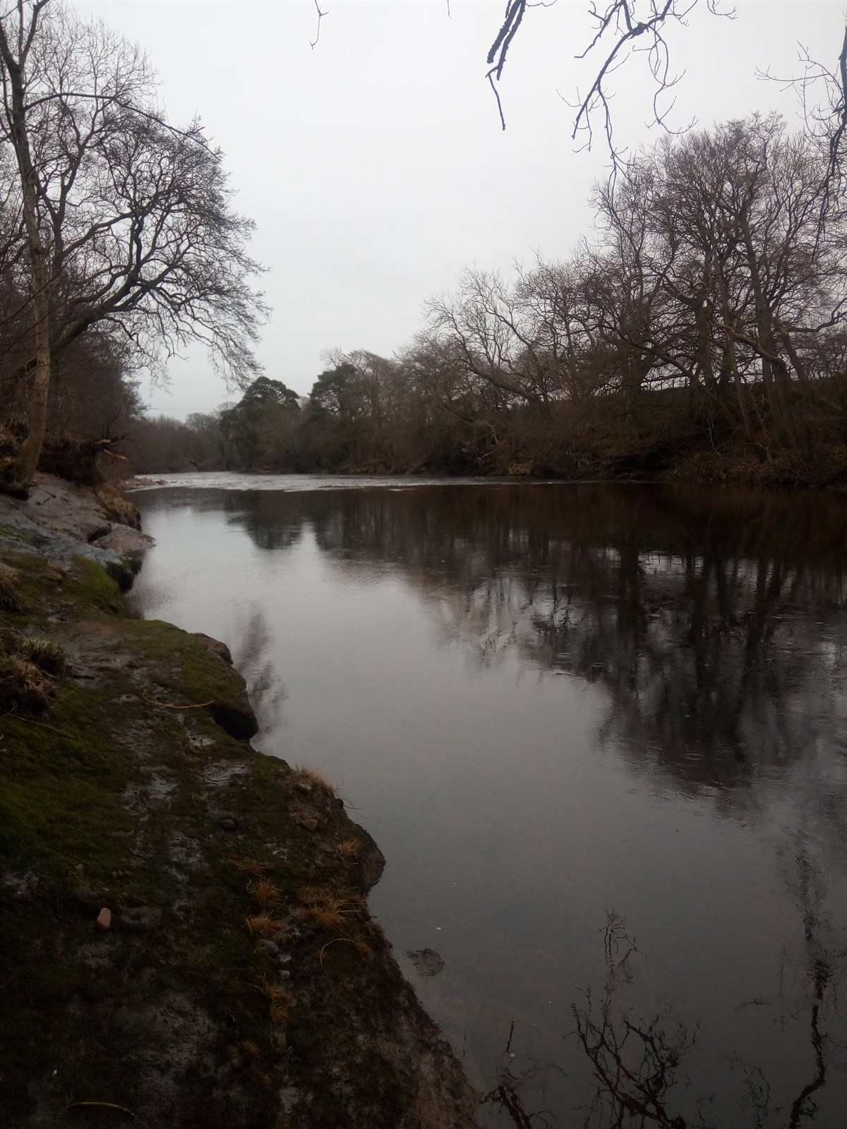 Downstream 
