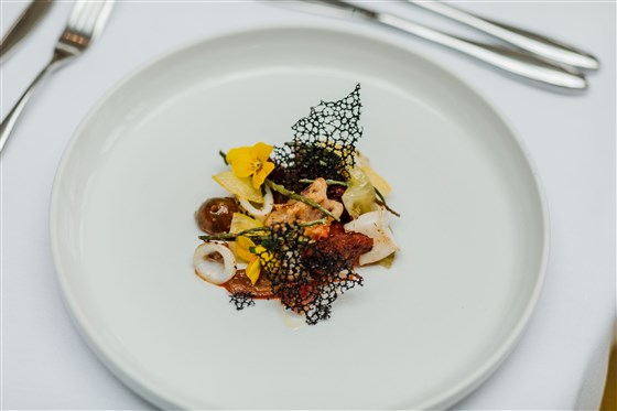 Starter